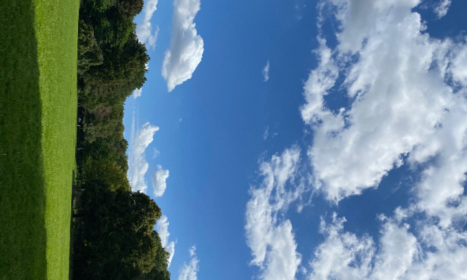 R&eacute;tablissons le Bac de sp&eacute;cialit&eacute;s en mars !!