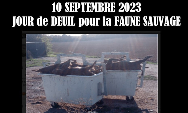 10 septembre : jour de deuil pour la faune sauvage, abolissons la chasse de loisir