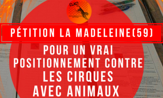La Madeleine (59) : pour des cirques sans animaux !