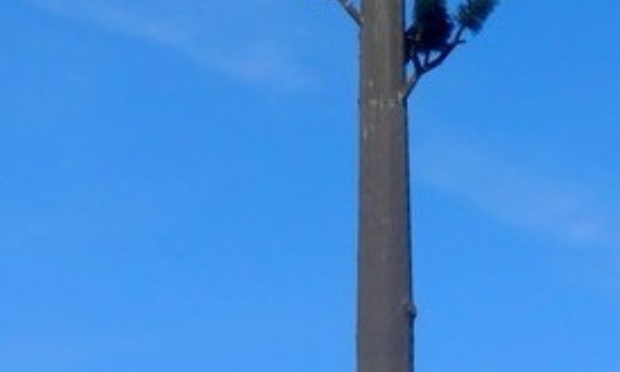 Non &agrave; l'installation d'une antenne relais de 18 m,  r&eacute;sidence syracuse &agrave; Valenciennes