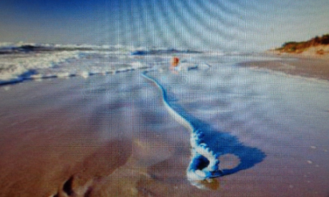 Pour un dispositif de cordage relié à la grève pour sortir de la mer à Criel-sur-Mer (76)