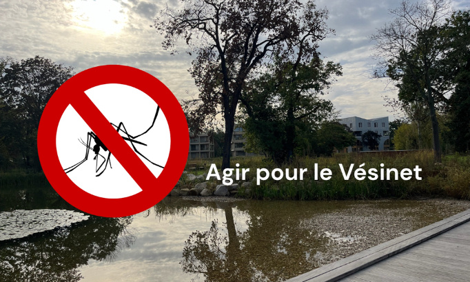 Demande d'action urgente contre la prolifération de moustiques dans le quartier Princesse