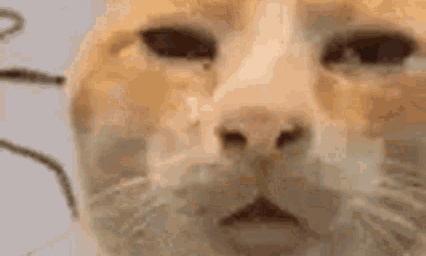 Ratio stolyzz qui nous déplace pas en voc