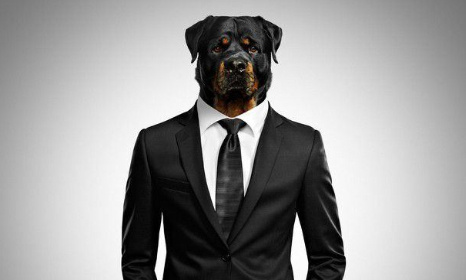 Pour que le "ghetto di gente" de Phillipi &amp; Rodrigo reste &agrave; jamais l'hymne des "Holiday! Celebrate!"