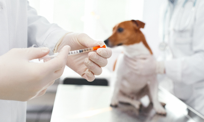 Boycottons le téléthon  !