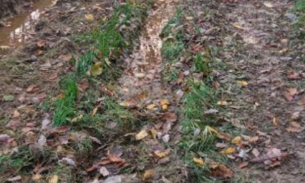 Respectez de la nature !