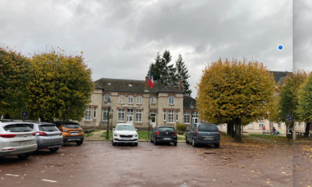 Sauvons les 18 tilleuls de Lèves !