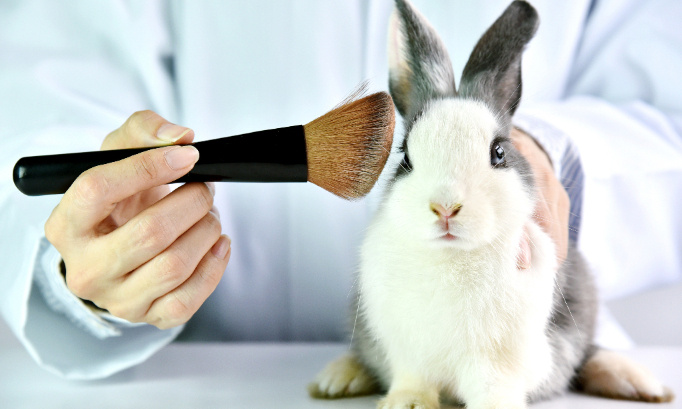 Non à l'expérimentation de produits cosmétiques sur les animaux !