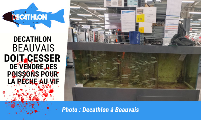 Le Decathlon de Beauvais doit arrêter d’alimenter la cruauté envers les animaux !