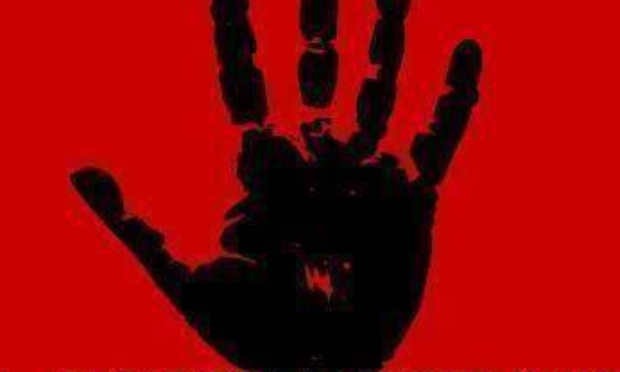 Stops aux vols institutionnalisés de nos enfants en France et en Belgique !