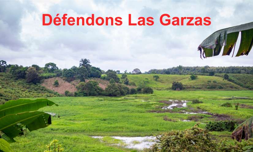 Défendons la zone humide de las Garzas contre l’industrie de la banane