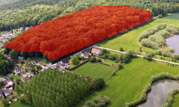 Urgent : Non à la disparition de 7 hectares de forêt à le Plessis Brion !