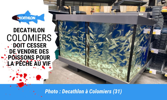 Le Decathlon Colomiers doit mettre un terme à la vente de poissons vivants pour la pêche au vif !