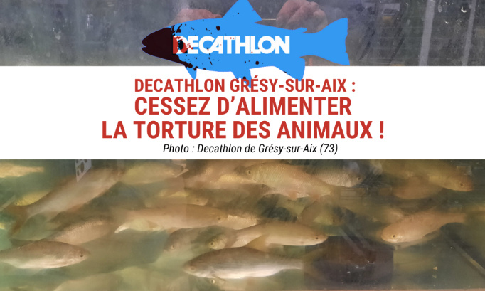 Decathlon Grésy-sur-Aix, cessez d’alimenter la torture des animaux !