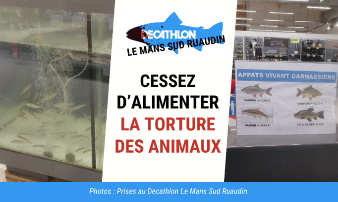 Decathlon doit cesser d’alimenter la torture des animaux !