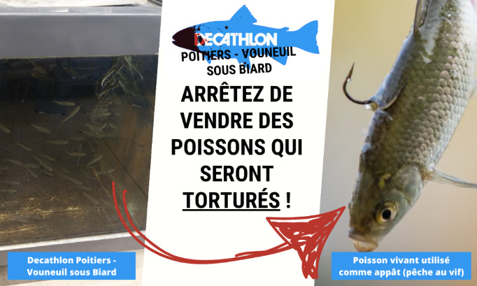 Decathlon Poitiers - Vouneuil sous Biard : arrêtez de vendre des poissons qui seront torturés !