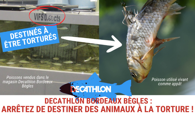 Decathlon Bordeaux Bègles, arrêtez de destiner des animaux à la torture !