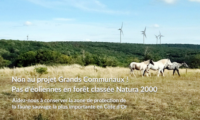 Pas d'éoliennes en forêt classée Natura 2000