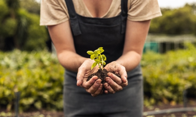 Soutien à une agriculture paysanne, non aux agripollueurs !