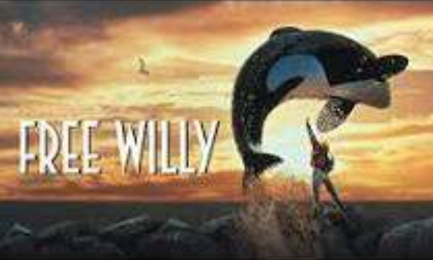 Sauver Willy svp