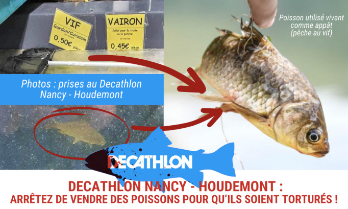 Decathlon Nancy - Houdemont : Arrêtez de vendre des poissons pour qu’ils soient torturés !