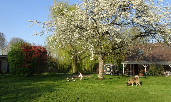 ATTRIBUTION DE L'AAH POUR LES DYSPRAXIE DYSLECSIE ET AUTES DYS FONCTIONNEMENT