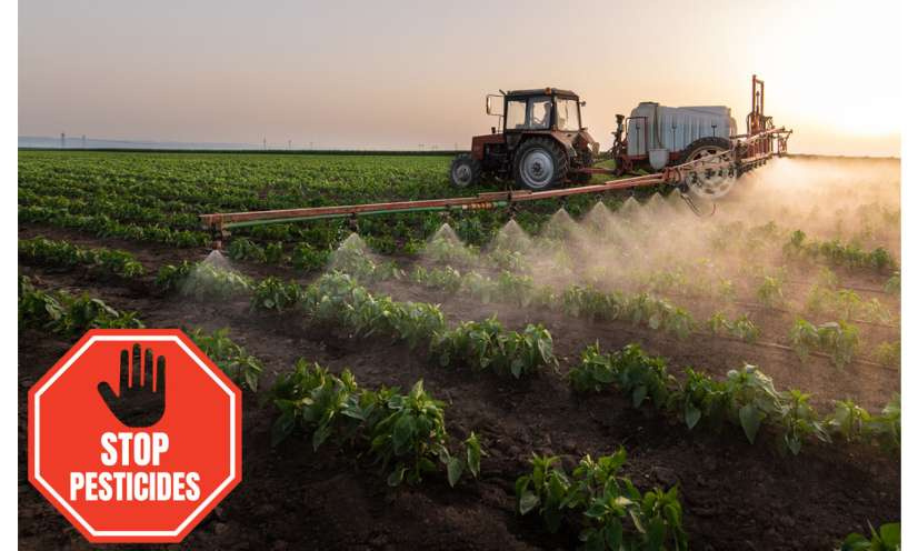 Dites NON à l’usage de pesticides dans notre agriculture !