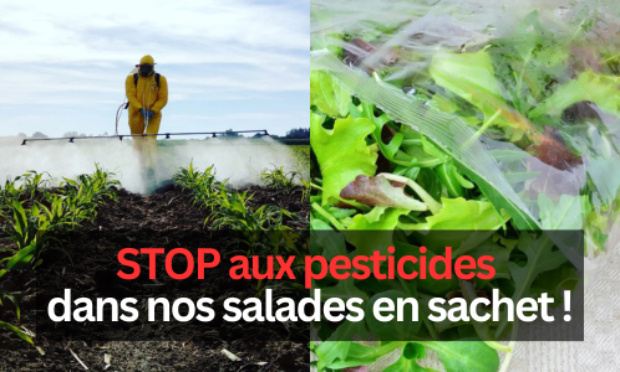 Stop aux pesticides dans nos salades !