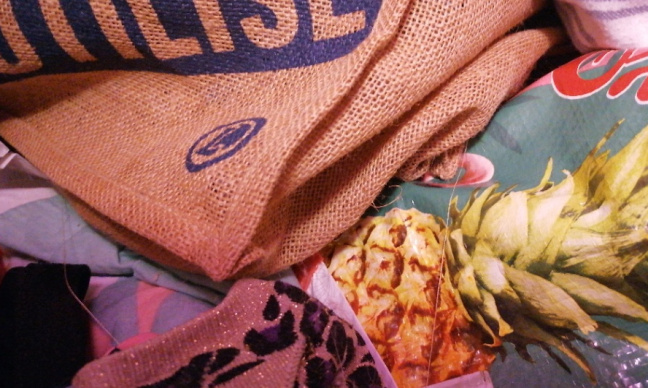 Respect de l'intimitee et vie privee des personnes et familles