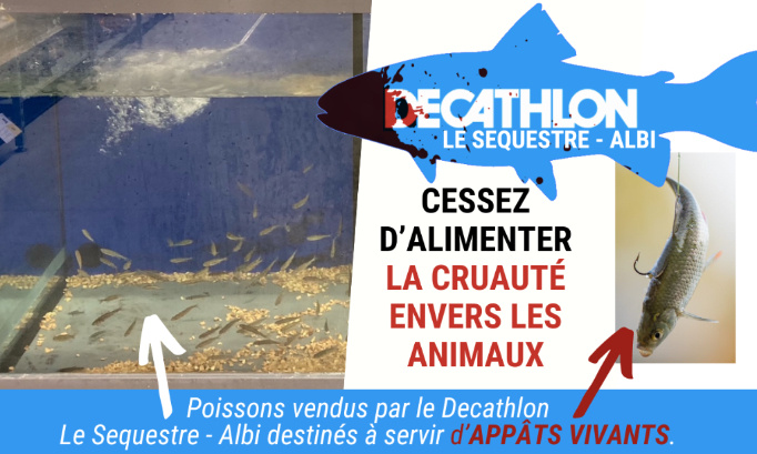 Decathlon Le Sequestre - Albi : cessez d’alimenter la cruauté envers les animaux !