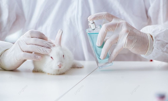 Interdisons les tests de produits cosmétiques sur les animaux !
