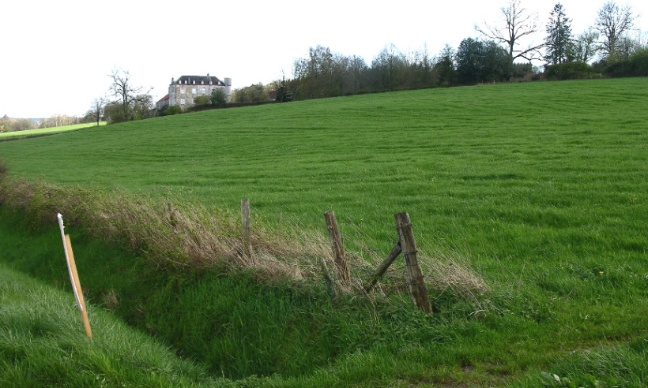 Stoppons la disparition de notre patrimoine paysager à Hautregard !