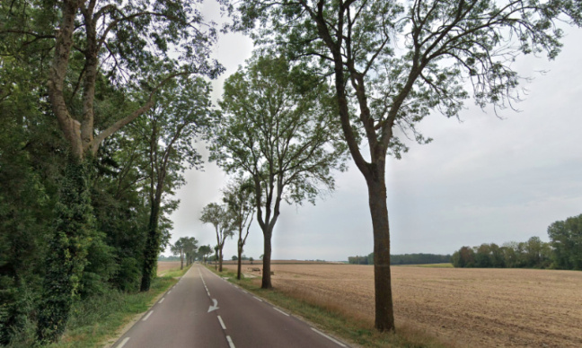 Sauvons les arbres de l'abattage entre Troyes et Piney