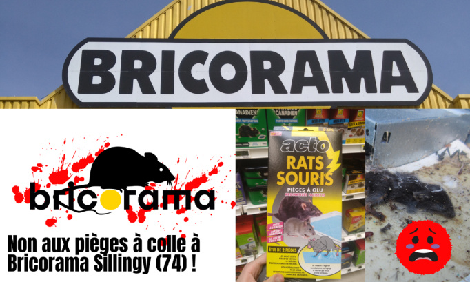 Bricorama Sillingy : stop aux pièges à colle, c'est de la cruauté !