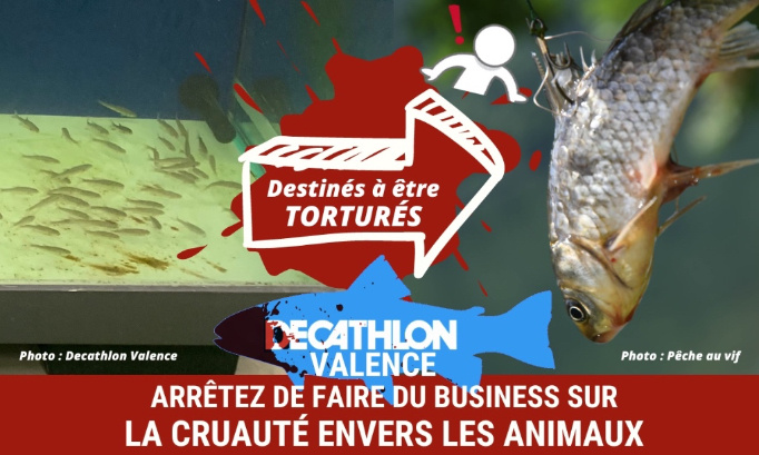 Decathlon Valence : arrêtez de faire du business sur la cruauté envers les animaux