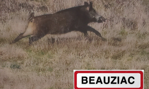 Maintien de la mise à disposition d’un local pour la société de chasse de BEAUZIAC