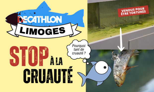 Decathlon Limoges, stop à la cruauté !