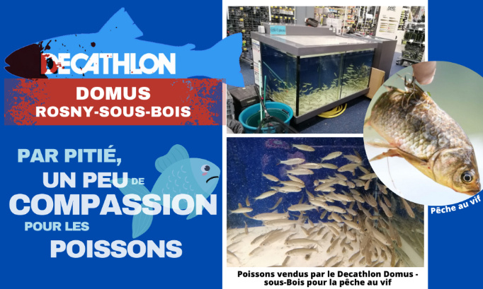 Decathlon Domus Rosny-sous-Bois : par pitié, un peu de compassion pour les poissons