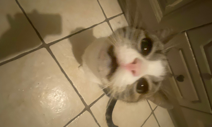 Changer la m&eacute;chante maman de saddy