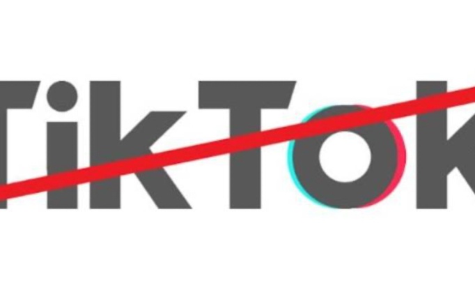 Pétition pour l'interdiction de TikTok aux mineurs