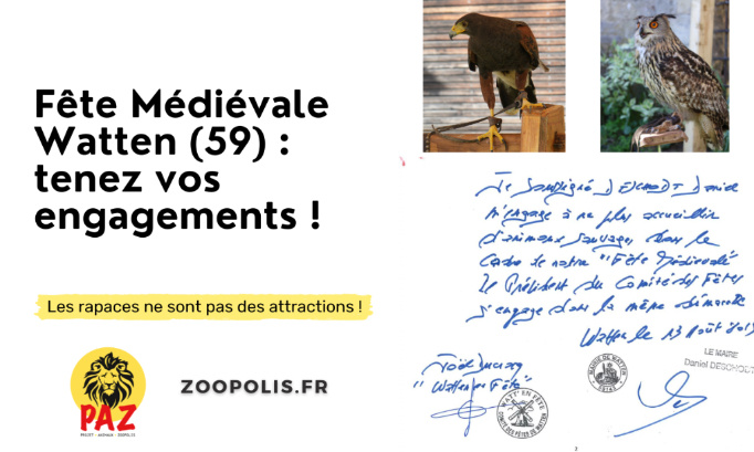 Spectacles de rapaces : la Mairie de Watten doit tenir ses engagements !