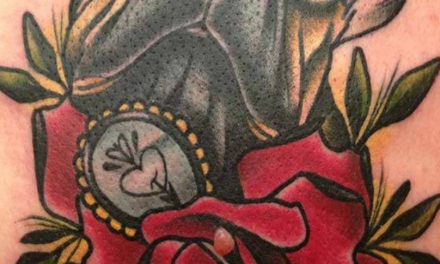 Pour les pauvres chat abonn&eacute;s