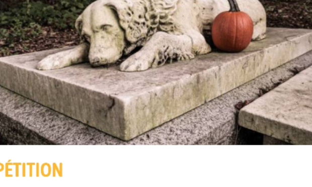 Autoriser l'enterrement de son animal de compagnie dans le caveau familial.