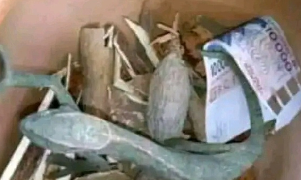 Comment faire revenir mon ex rapidement