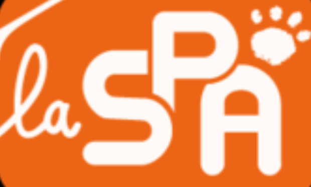 pour la fermeture de la spa de chamarande en essonne