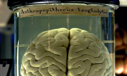 Pour un audiovisuel de qualit&eacute;, mettons fin &agrave; C8, pour des emplois respectueux du public !