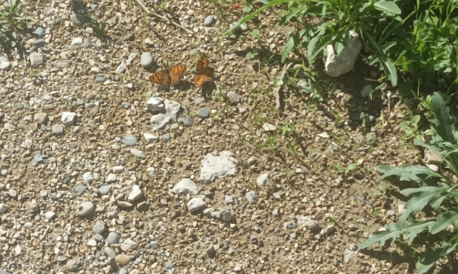 Contre la suppression d'un jour férié (ou plus) supplémentaire