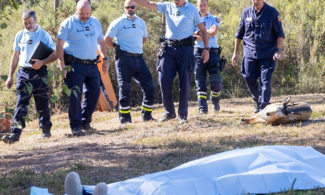 Faire passer un examen médical obligatoire à tous les chasseurs au dessus de 70ans