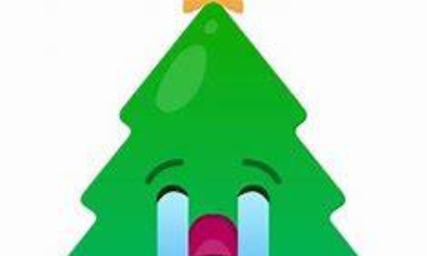 Rempla&ccedil;ons les sapins de no&euml;l coup&eacute;s, par ceux qui sont en pot, ou par des faux !