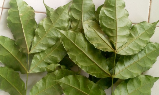 Rituel d'amour qui fonctionne